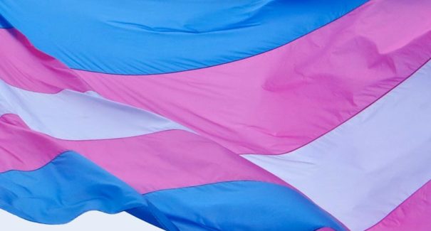 163 pessoas trans assassinadas em 2018