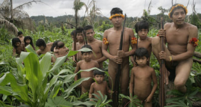 MP pede reforço policial para proteger território indígena Awá-Guajá, no Maranhão