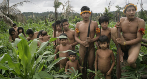 MP pede reforço policial para proteger território indígena Awá-Guajá, no Maranhão