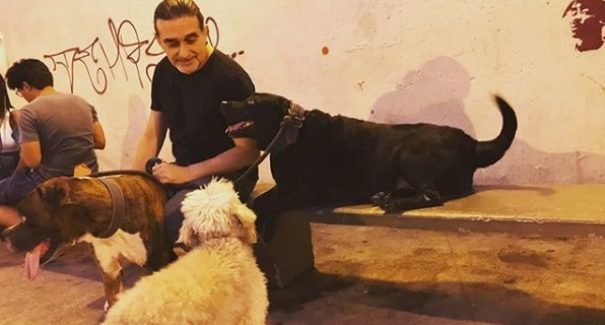 Cães de ruas e abandonados de São Luís terão almoço especial