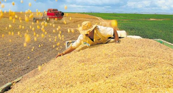 Fazenda de soja é assaltada próximo ao município de Balsas