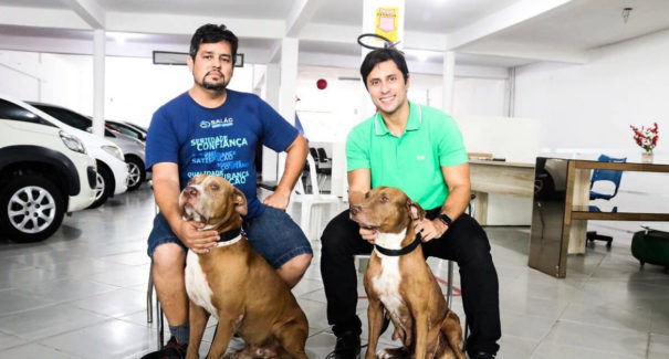 Deputado estadual visita cães supostamente abandonados na Cohab