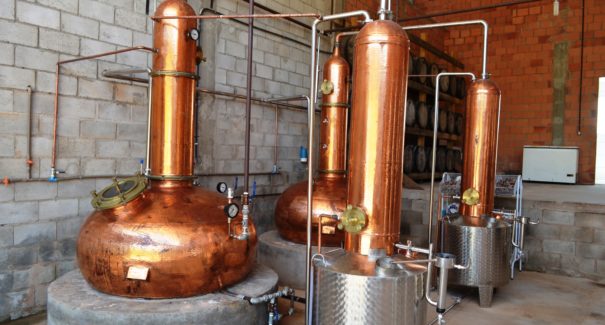 Produção de cachaça maranhense em debate