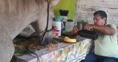 Conheça a história da família que divide o teto com um cavalo em São Luis
