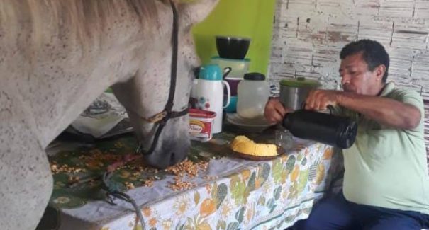 Conheça a história da família que divide o teto com um cavalo em São Luis