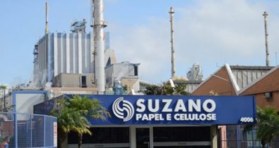 Suzano anuncia inscrições para  o Programa de Estágio 2019 no Maranhão