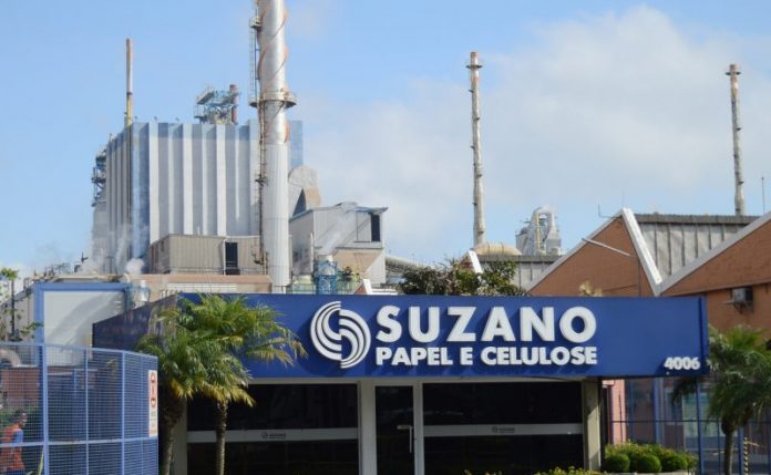 Suzano Anuncia Inscrições Para O Programa De Estágio 2019