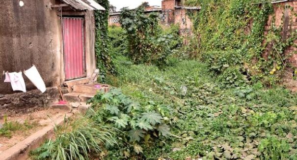 Desenvolvimento e sustentabilidade