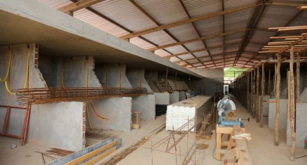 Primeira etapa do Hortomercado da Cidade Operária termina em julho