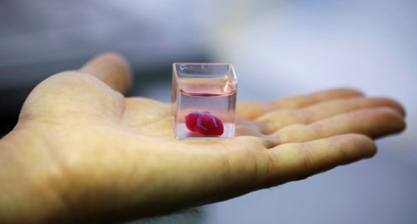 Cientistas fazem coração em impressora 3D utilizando tecido humano