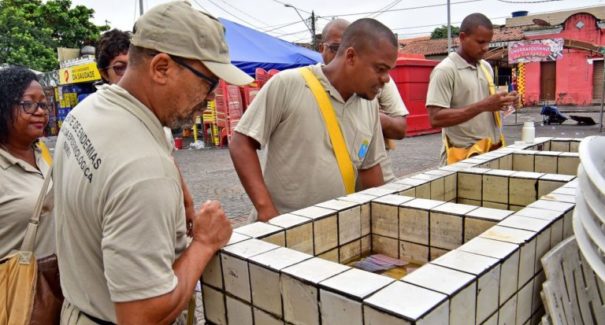 Reduz em 50% casos de dengue em São Luís
