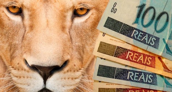 Prazo para declarar o Imposto de Renda vai só até 23h59
