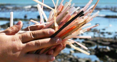 Canudos de plástico passam a ser proibidos em estabelecimentos do Maranhão