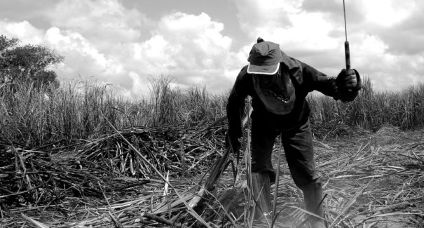 31 trabalhadores suspeitos de trabalho escravo são resgatados em Balsas, no Maranhão