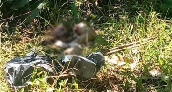 Criança é encontrada morta em matagal