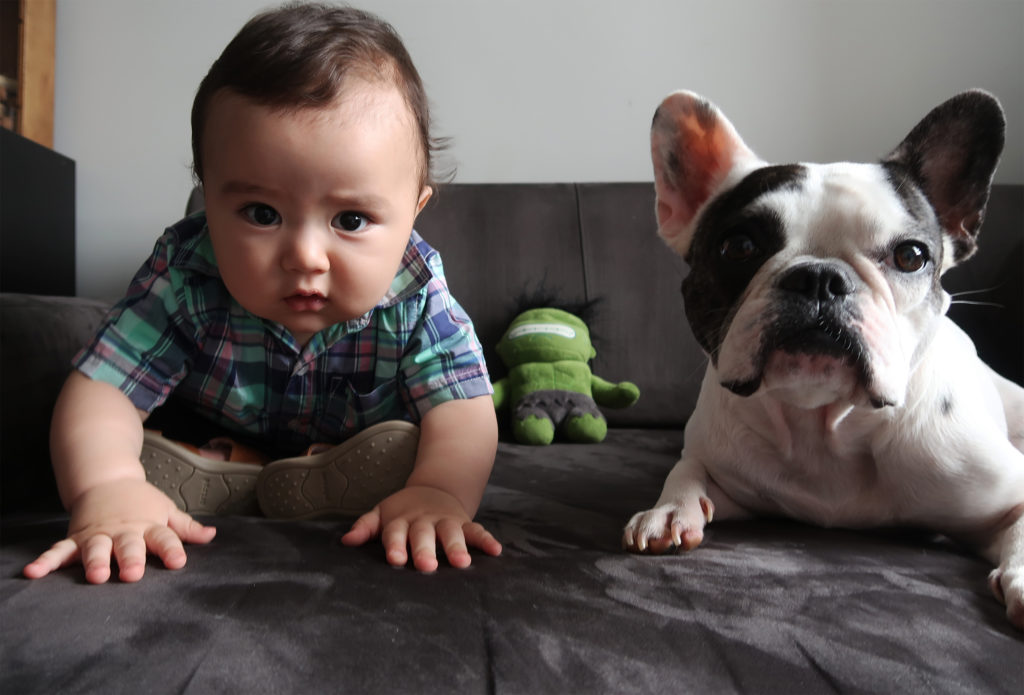 5 razões para dar um animal de estimação para seu filho