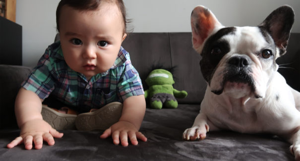 5 razões para dar um animal de estimação para seu filho