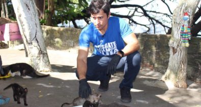 Duarte Jr. realiza resgate, tratamento e castração de animais no Sítio dos Gatos