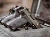 Reforma tributária permite redução de tributos para armas de fogo