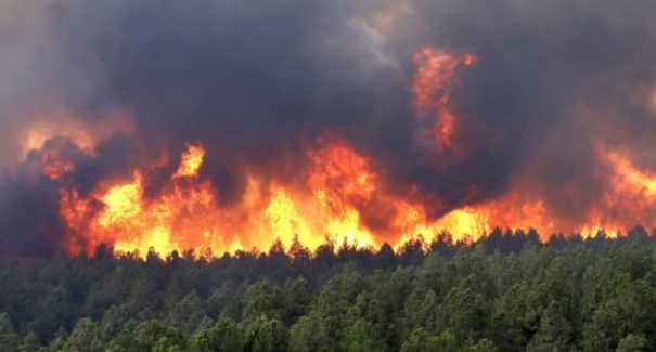 Em 5 meses, Maranhão apresentou mais de mil focos de incêndios
