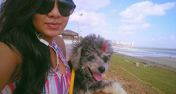 10 dicas para diminuir o calor do cachorro no verão