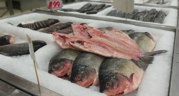 Você sabe mesmo escolher um peixe saudável?