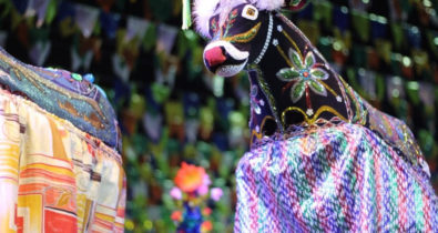 25º Festival de Bois de Zabumba acontece neste sábado (27)