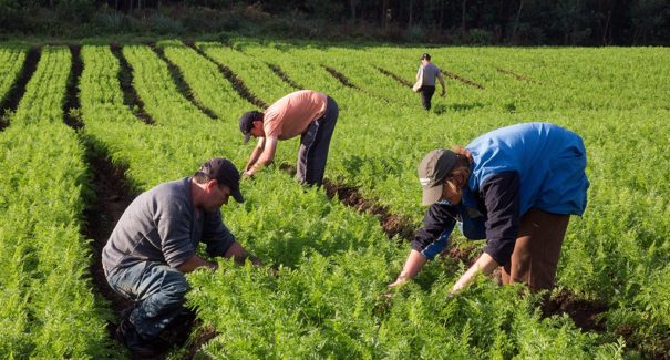 SAF participa de ações para promover agricultura familiar na AgroBarra