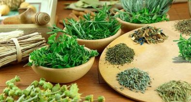 Saiba os principais benefícios com o consumo de plantas medicinais