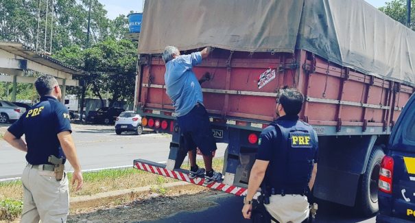 PRF apreende carreta transportando carvão irregular na BR 135