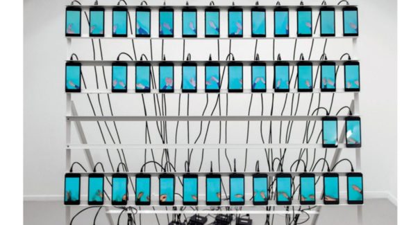Fake clique: fraudes em publicidade digital geram prejuízos de US$ 42 bi