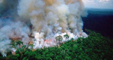 Polícia do Pará identifica suspeitos de provocar queimadas na Amazônia