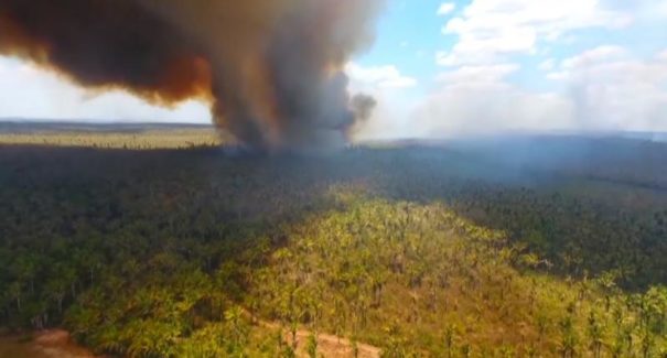 Queimadas no Maranhão representam menos de 1% do total na Amazônia Legal
