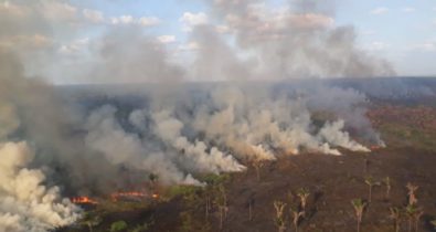 Maranhão ocupa o 1º lugar no ranking de queimadas entre estados do Nordeste