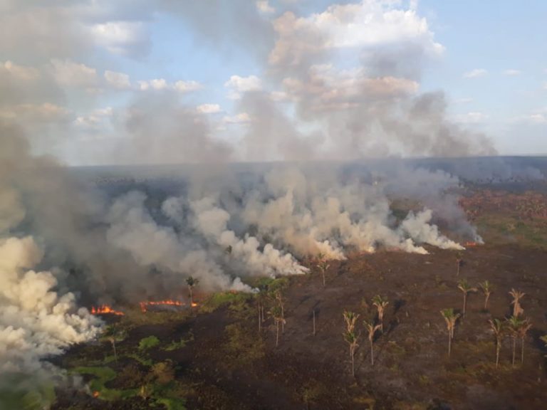 Maranhão ocupa o 1º lugar no ranking de queimadas entre estados do Nordeste  | O Imparcial