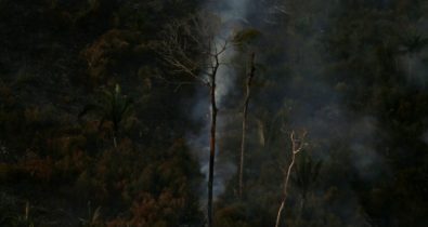 Multas na Amazônia somam R$ 36 milhões