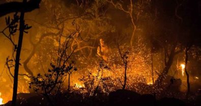 Incêndio na Chapada dos Veadeiros ameaça território quilombola