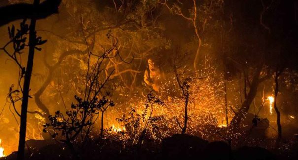 Incêndio na Chapada dos Veadeiros ameaça território quilombola