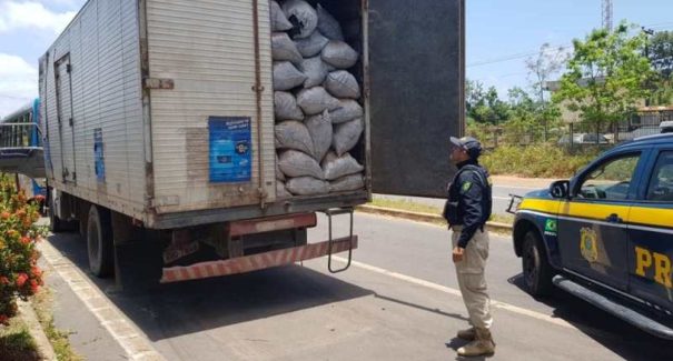 Polícia Rodoviária Federal apreende carvão produzido ilegalmente no estado