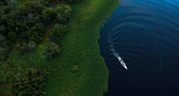 Educação e Amazônia receberão R$ 2,6 bi recuperados do fundo da Petrobras