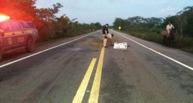 Adolescente morre após cair de motocicleta na BR-402