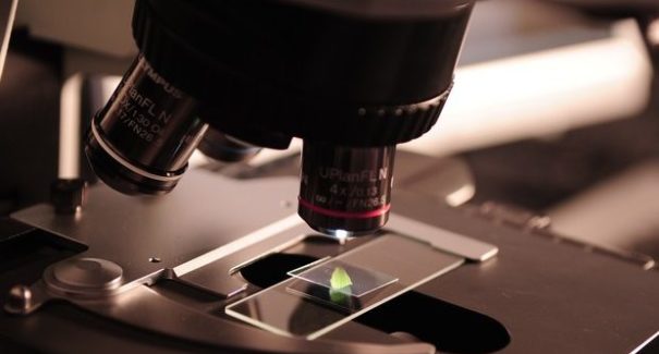 Brasil ganha primeiro laboratório de criação de pele humana
