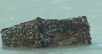 Pacotes de 100kg são encontrados na Praia de São Marcos