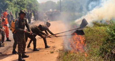 Operação Verde Brasil apresenta resultados