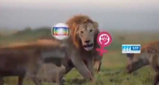 Bolsonaro pede desculpas ao STF por vídeo com hienas