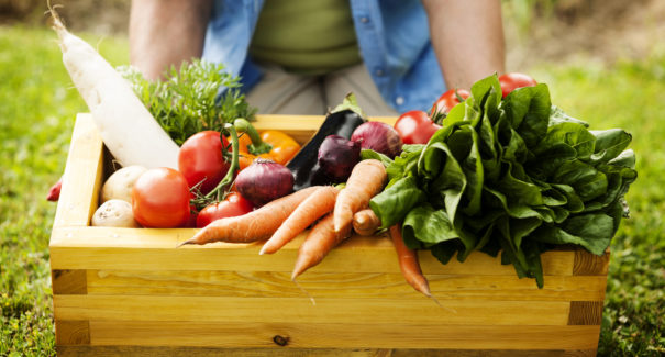 Veja como conservar os alimentos durante a quarentena