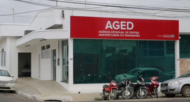 Servidores da Aged são presos por cobrança de propina