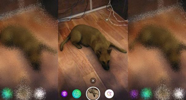 Sasha Dog: saiba como usar o filtro de cachorro no Instagram