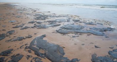 12 pontos já foram atingidos por manchas de óleo no Maranhão