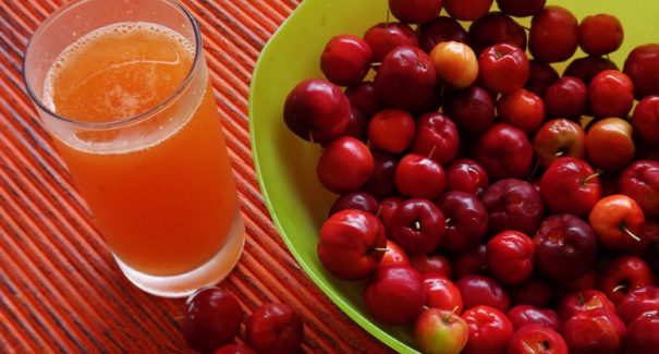 Conheça 3 benefícios da acerola para saúde